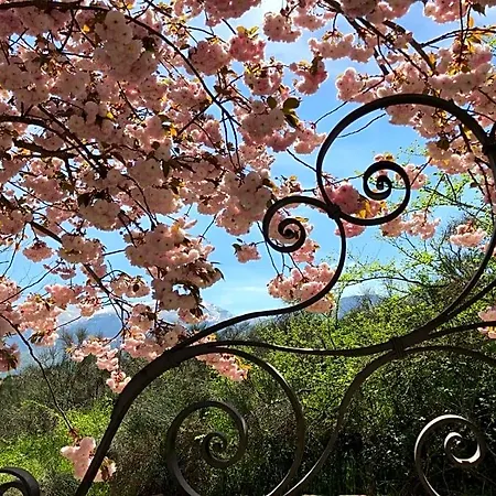 Luci Sui Monti