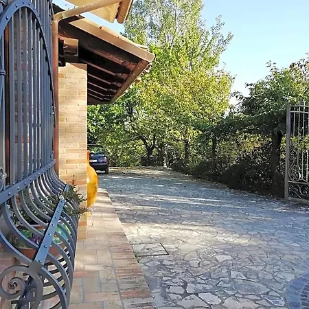 Luci Sui Monti *