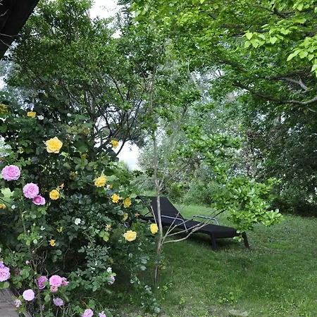 Luci Sui Monti Bed & Breakfast *