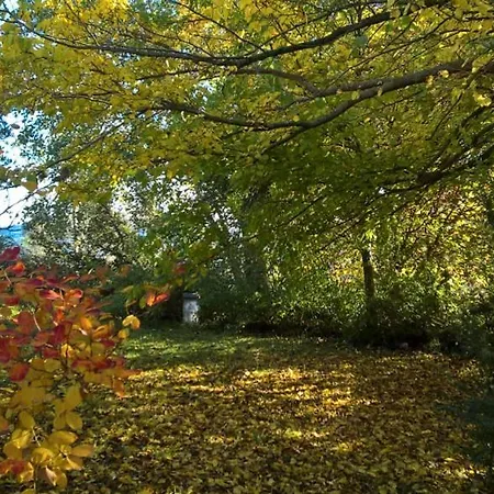 Luci Sui Monti Bed & Breakfast Sarnano